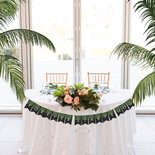 Banderines Cielo Nocturno de Palma Tropical Por Siempre Comie (Subido por el creador)