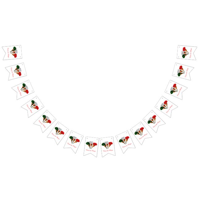 Banderines Cinqo de Mayo (Todo)