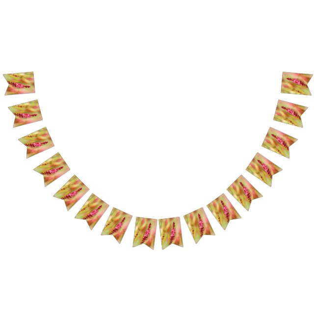 Banderines colorido (Todo)