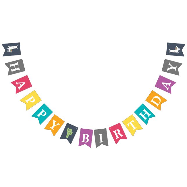 Banderines Colorido Cactus Llama Fun Birthday Party (Todo)