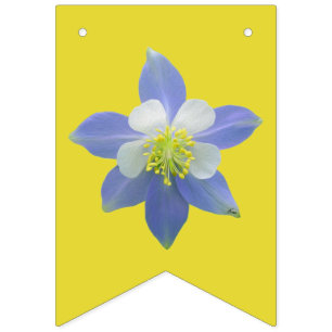 Banderines Columbina 2