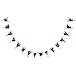 Banderines Cool Punk Rockstar Birthday Bunting Flags
