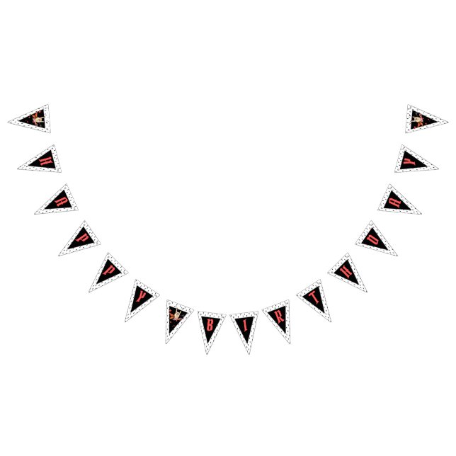 Banderines Cool Punk Rockstar Birthday Bunting Flags (Todo)