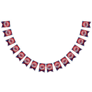 Banderines Cumpleaños 250 de América 1776-2026 Fuegos Artific