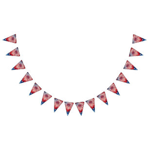 Banderines Cumpleaños 250 de América 1776-2026 Fuegos Artific