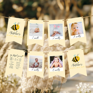 Banderines Cumpleaños Cute 1er Día de la Abeja Foto Hito 