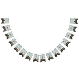 Banderines Cumpleaños de Harry Potter