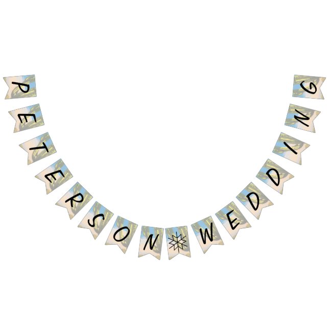 Banderines Desert Saguaro Cactus Boda Ensayo Cena (Todo)