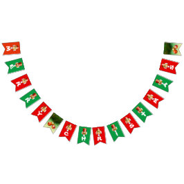 Banderines Dibujo animado de nuez modificado para requisitos