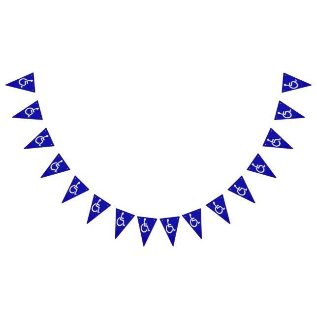 Banderines Discapacitado (Todo)