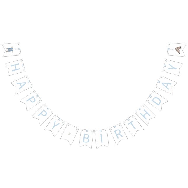 Banderines Doljanchi coreano azul feliz cumpleaños (Todo)