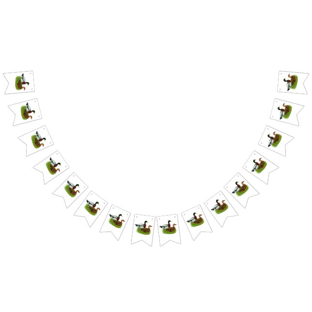 Banderines Drake mallard y pato (Todo)