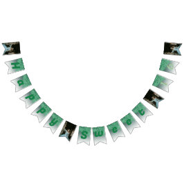 Banderines Dulce 16 Fiestas, Purpurina verde caído y 4 fotos