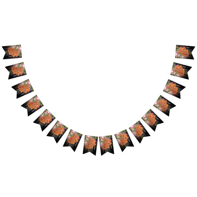 Banderines El comienzo del otoño (Todo)