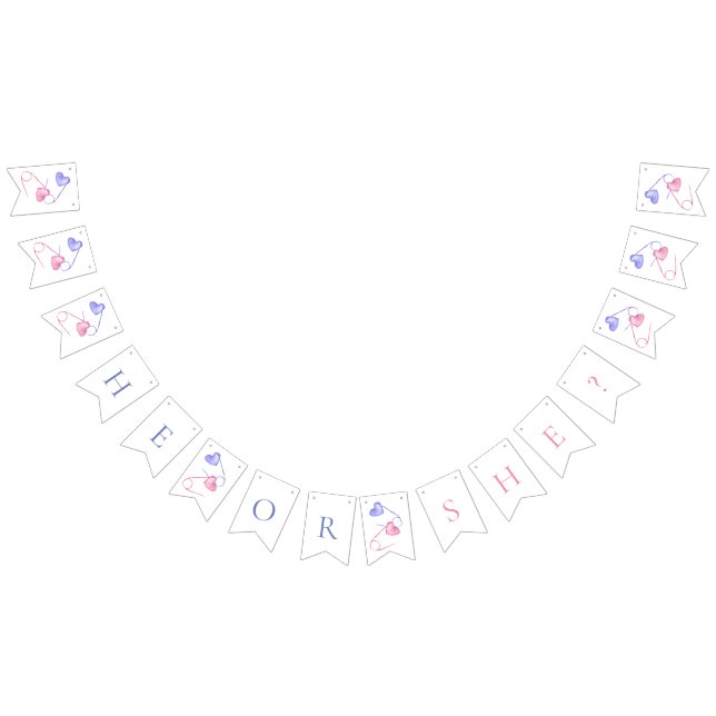 Banderines El género revela el Baby Shower azul rosado (Todo)