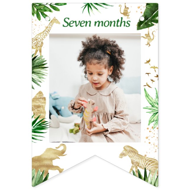 Banderines El primer cumpleaños del niño salvaje de un Safari (Décima bandera)