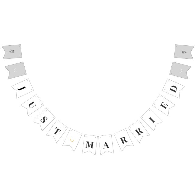 Banderines Elegant Equestrian Just Married Bunting Banner (Todo)
