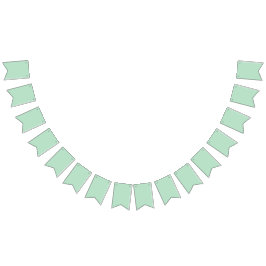 Banderines Elegante Banner de Bunting Green Mint
