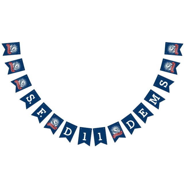 Banderines Empavesado Democratic del club D11 (Todo)