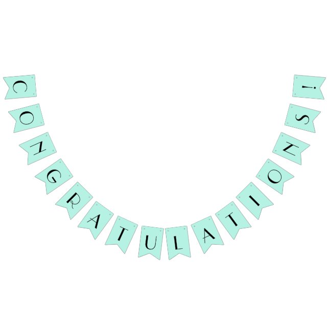 Banderines Enhorabuena a la Casa de la Moneda (Todo)