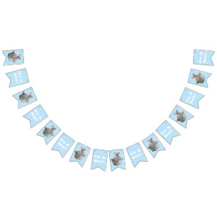 Banderines Es rayas azules Baby Shower del muchacho de un oso