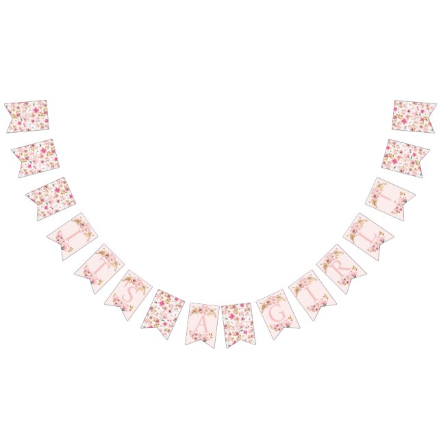 Banderines Es un banner Chica de Baby Shower - Rubor Pink & G (Todo)