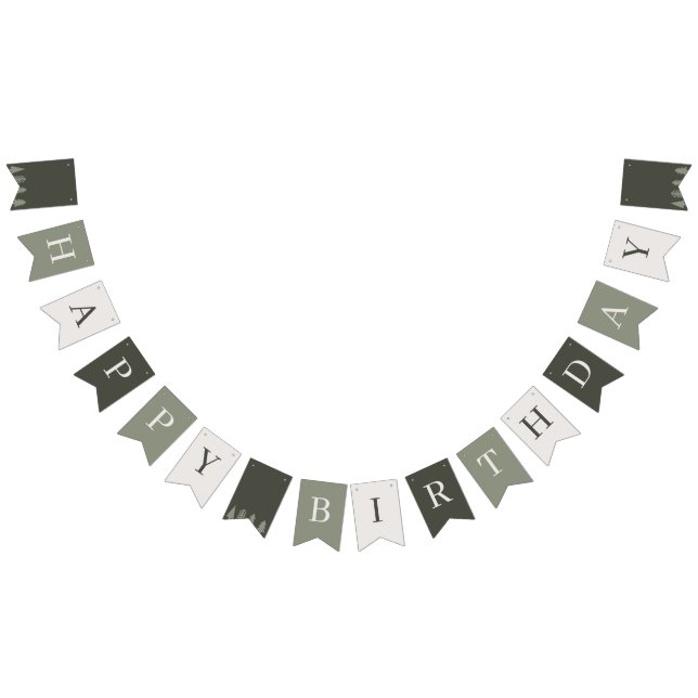 Banderines Fiesta de cumpleaños de invierno (Todo)