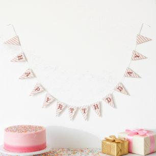 Banderines Fiesta de Cumpleaños de Niñas Divertidas en Rosa