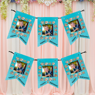 Banderines Fiesta de fotografía personalizado Animales Tema N