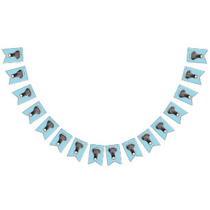 Banderines Fiesta de Lacrosse Team