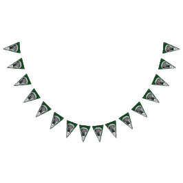 Banderines Fiesta Lacrosse