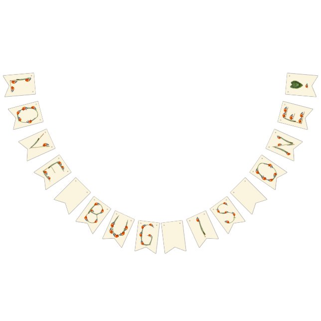 Banderines Fiesta por el cumpleaños de Ladybug - Primer cumpl (Todo)