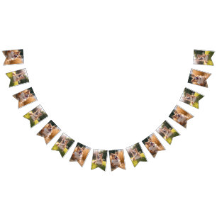 Banderines Foto de mascota personalizada