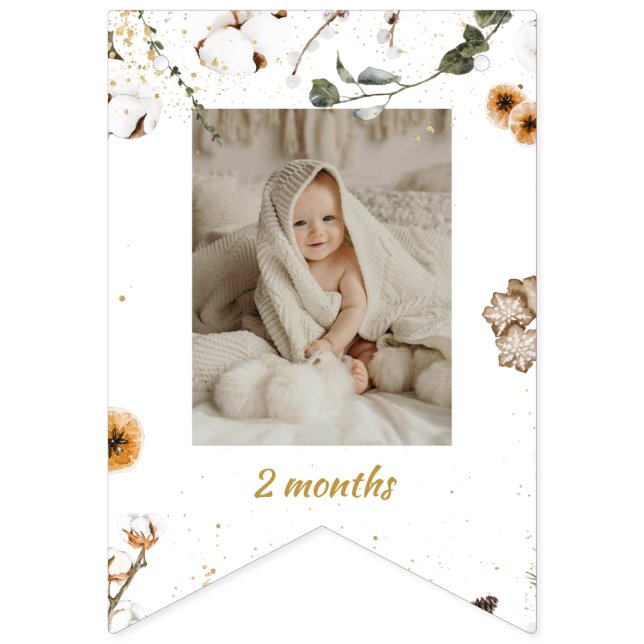 Banderines Foto mensual de cumpleaños de invierno en tierra f (Tercera bandera)