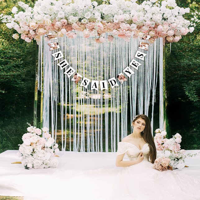 Banderines Foto moderna de la ducha de novia (Subido por el creador)