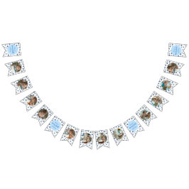 Banderines Fotos de 12 meses de cumpleaños Blueberry