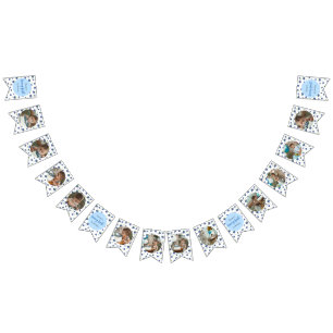 Banderines Fotos de 12 meses de cumpleaños Blueberry