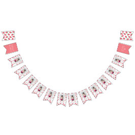 Banderines Fotos de los primeros cumpleaños del Chica de fres