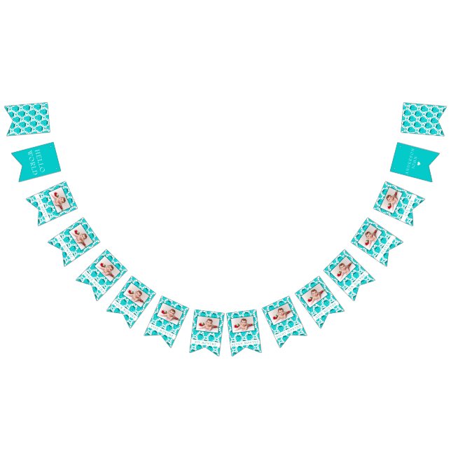 Banderines Fotos del primer cumpleaños de Strawberry Boy (Todo)