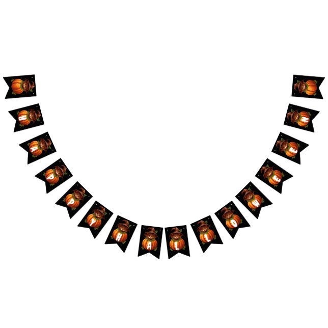 BANDERINES FUNNY CAT PUMPKIN HAPPY HALLOWEEN (Todo)