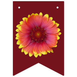 Banderines Gaillardia 1