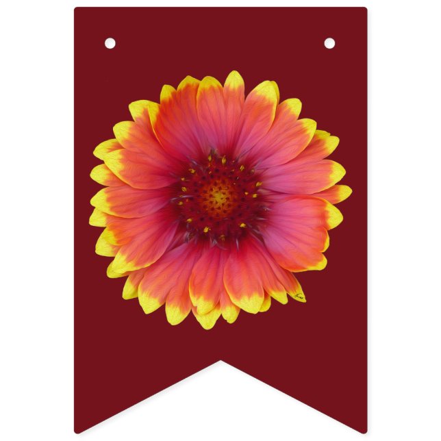 Banderines Gaillardia 1 (Primera bandera)