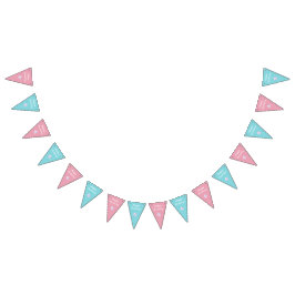 Banderines Gemelos Rosa Y Azul Y Fiesta De Cumpleaños Chica