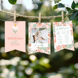 Banderines Girls Cute Daisy 1st Birthday Milestone Photo 