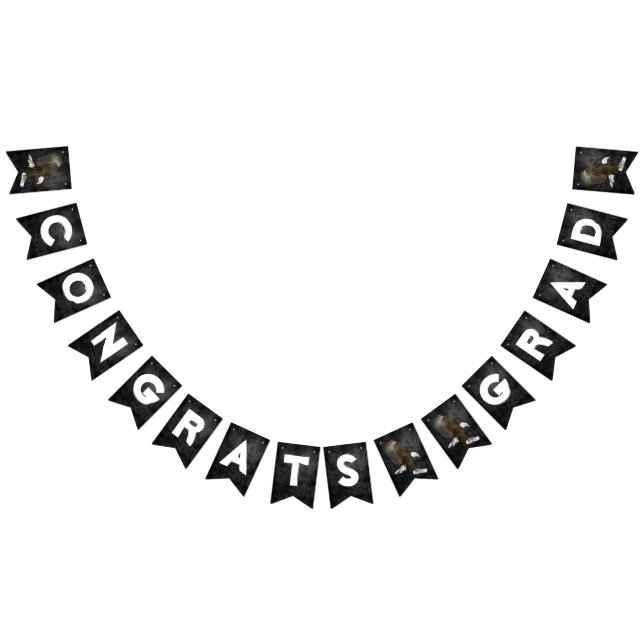 Banderines Graduación 2025 Águila Calva Sobre Cuero (Todo)