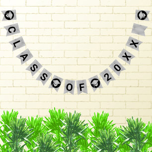 Banderines Graduación Moda Plata Crea Tu Clase De