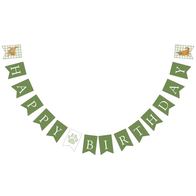 Banderines Green One Golden Year Retriever Birthday (Todo)
