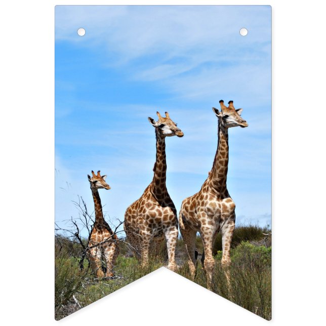 Banderines Growing Tall Safari Banner (Primera bandera)