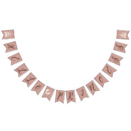 Banderines Hola Princess Baby Shower