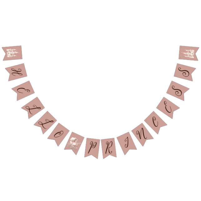 Banderines Hola Princess Baby Shower (Todo)